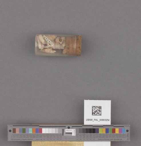 NSF ADBC EPICC TCN