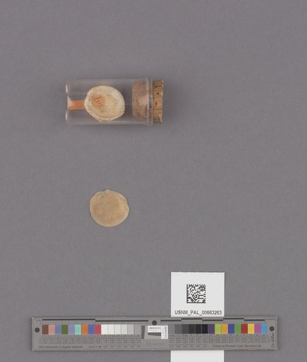 NSF ADBC EPICC TCN