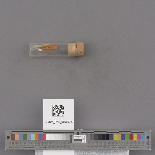 NSF ADBC EPICC TCN