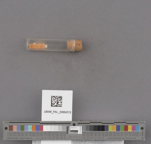 NSF ADBC EPICC TCN
