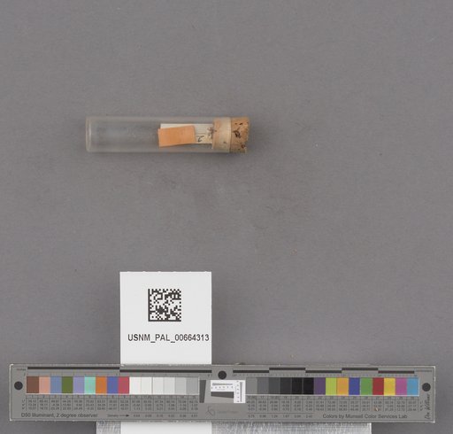 NSF ADBC EPICC TCN