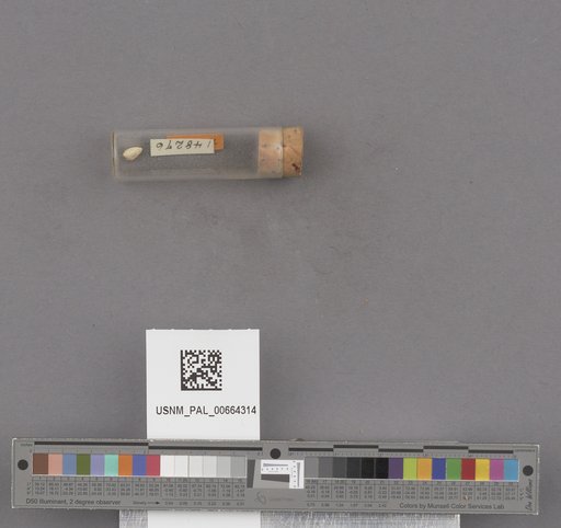 NSF ADBC EPICC TCN