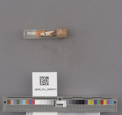 NSF ADBC EPICC TCN