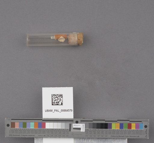 NSF ADBC EPICC TCN