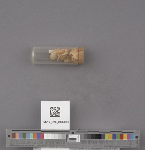 NSF ADBC EPICC TCN