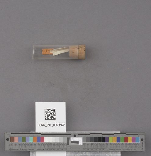 NSF ADBC EPICC TCN