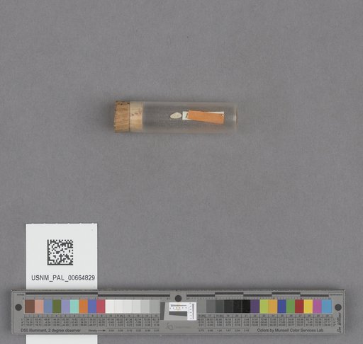NSF ADBC EPICC TCN