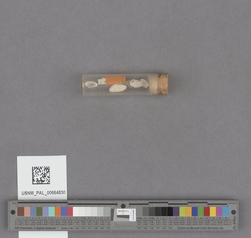 NSF ADBC EPICC TCN