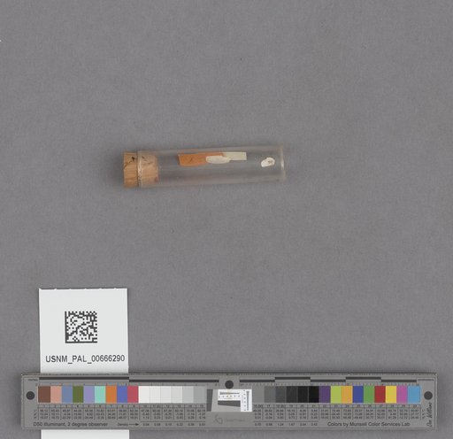 NSF ADBC EPICC TCN