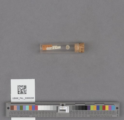 NSF ADBC EPICC TCN