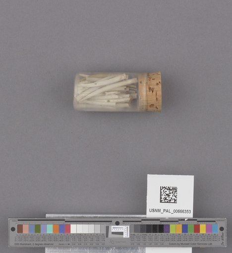 NSF ADBC EPICC TCN