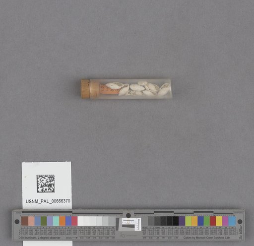 NSF ADBC EPICC TCN