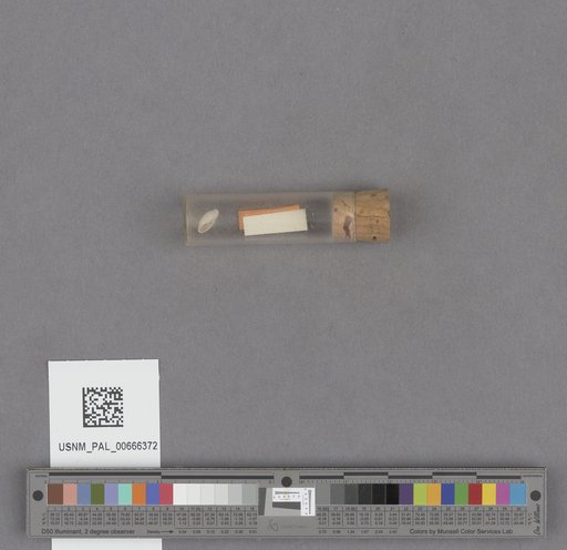 NSF ADBC EPICC TCN