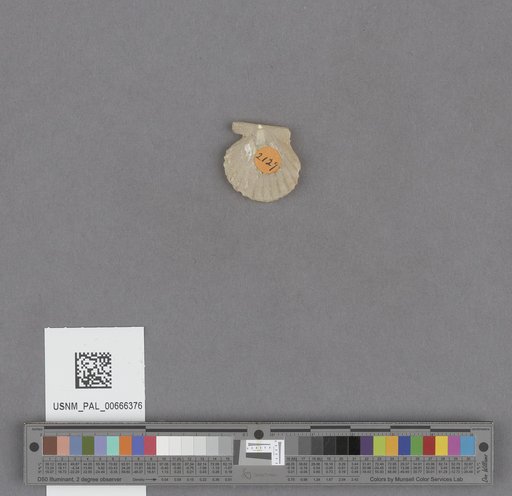 NSF ADBC EPICC TCN