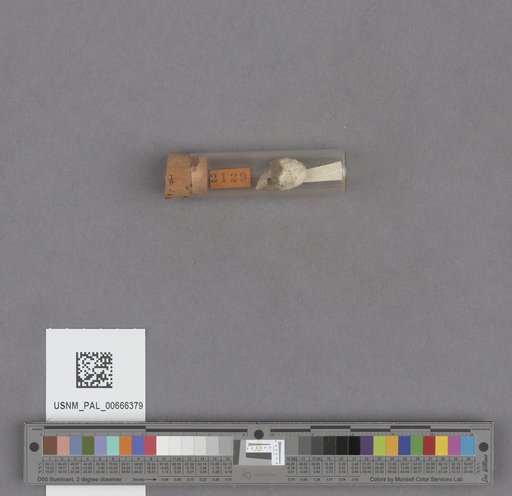 NSF ADBC EPICC TCN