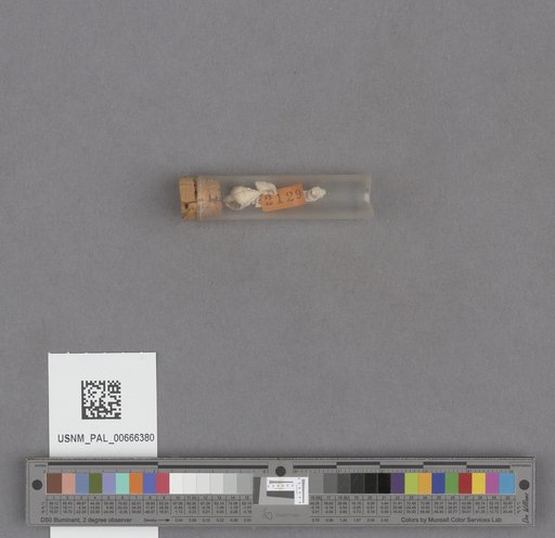 NSF ADBC EPICC TCN