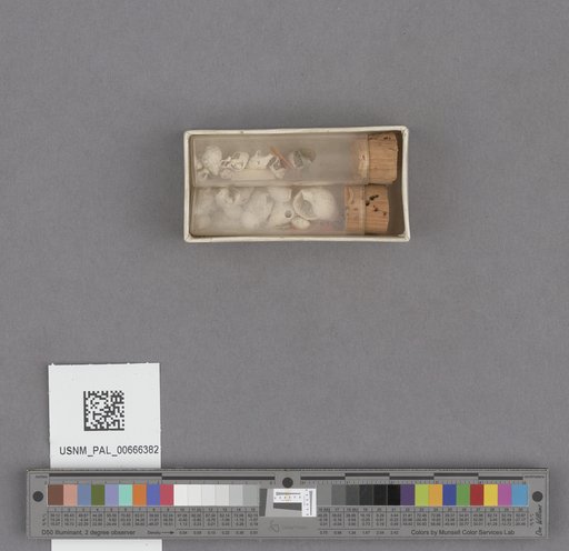 NSF ADBC EPICC TCN