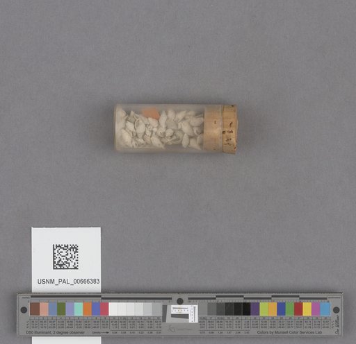NSF ADBC EPICC TCN