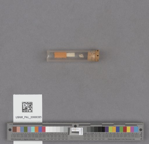 NSF ADBC EPICC TCN