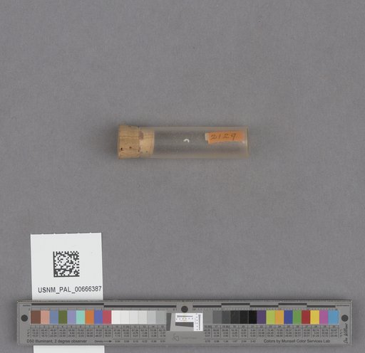 NSF ADBC EPICC TCN