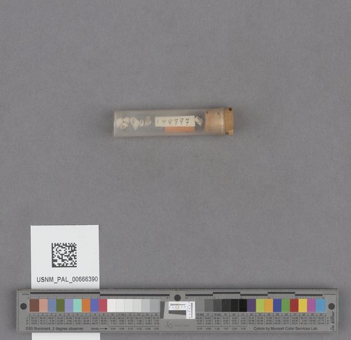 NSF ADBC EPICC TCN