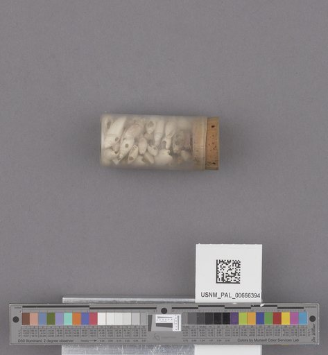 NSF ADBC EPICC TCN