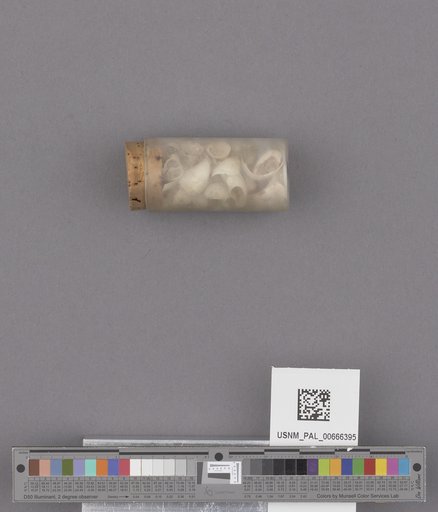 NSF ADBC EPICC TCN