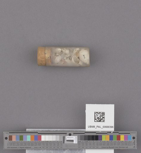 NSF ADBC EPICC TCN