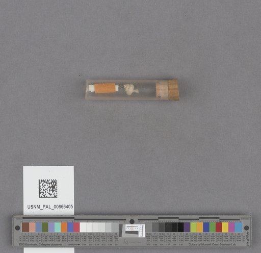 NSF ADBC EPICC TCN