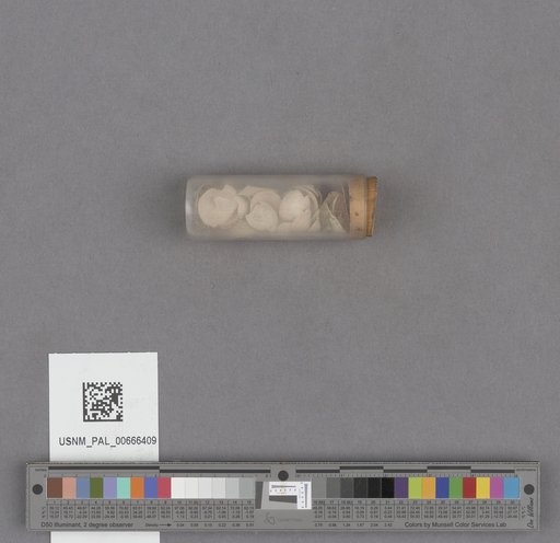 NSF ADBC EPICC TCN