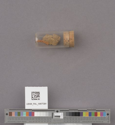 NSF ADBC EPICC TCN