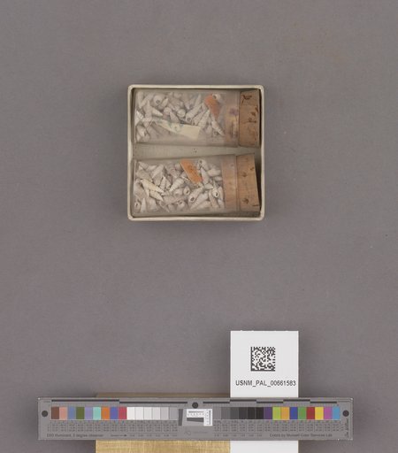 NSF ADBC EPICC TCN