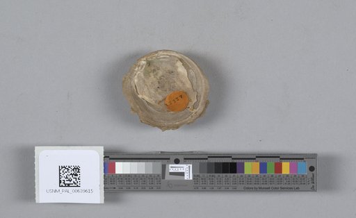 NSF ADBC EPICC TCN