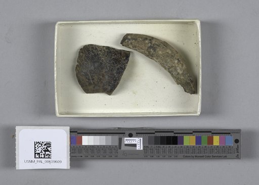 NSF ADBC EPICC TCN