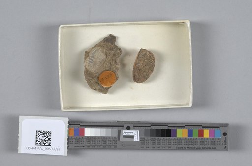 NSF ADBC EPICC TCN