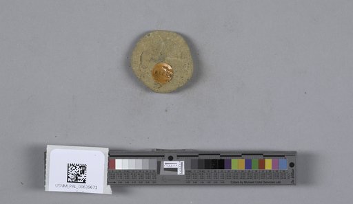 NSF ADBC EPICC TCN