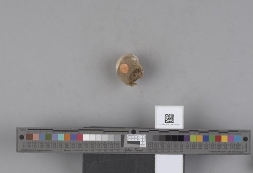 NSF ADBC EPICC TCN