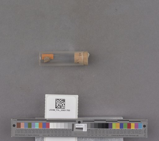 NSF ADBC EPICC TCN