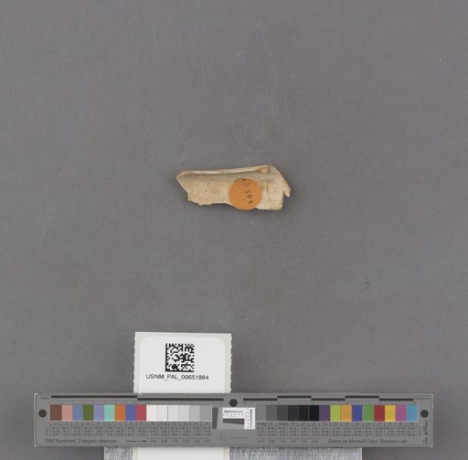 NSF ADBC EPICC TCN
