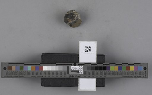 NSF ADBC EPICC TCN