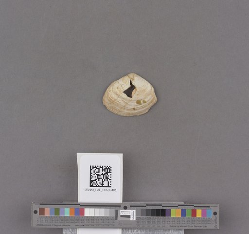 NSF ADBC EPICC TCN