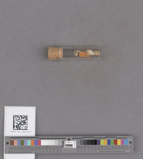 NSF ADBC EPICC TCN