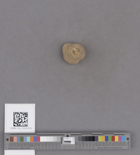 NSF ADBC EPICC TCN