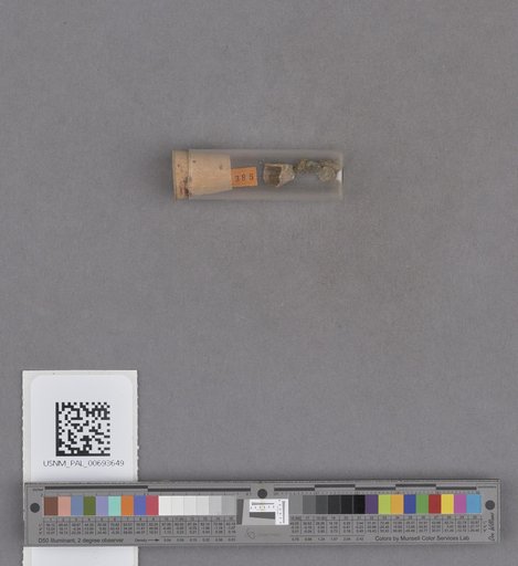 NSF ADBC EPICC TCN