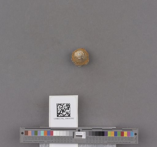 NSF ADBC EPICC TCN