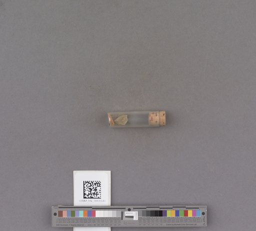 NSF ADBC EPICC TCN