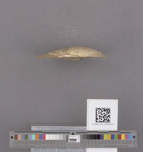 NSF ADBC EPICC TCN