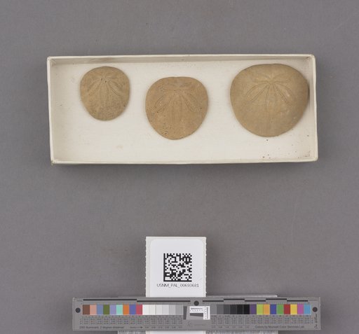 NSF ADBC EPICC TCN