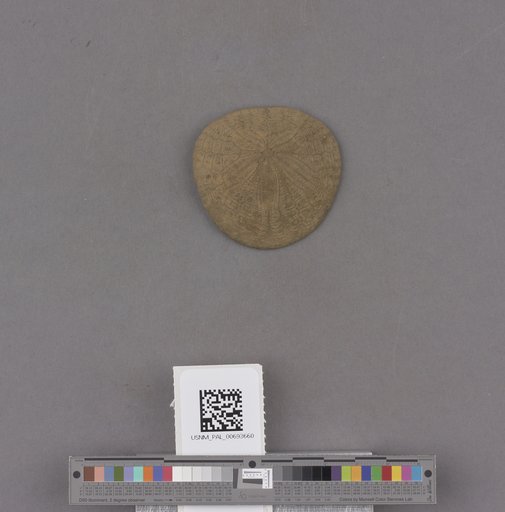 NSF ADBC EPICC TCN