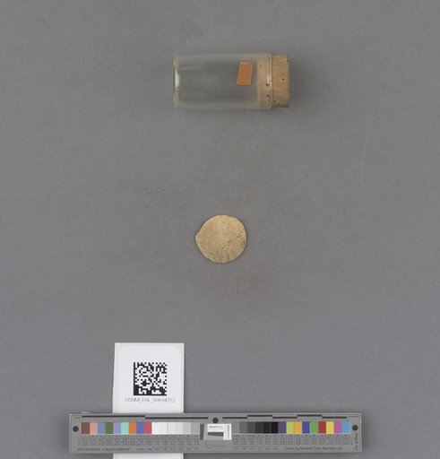 NSF ADBC EPICC TCN